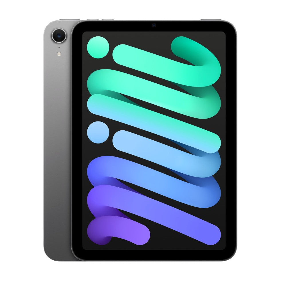 iPad mini (A17 Pro) in Space Gray